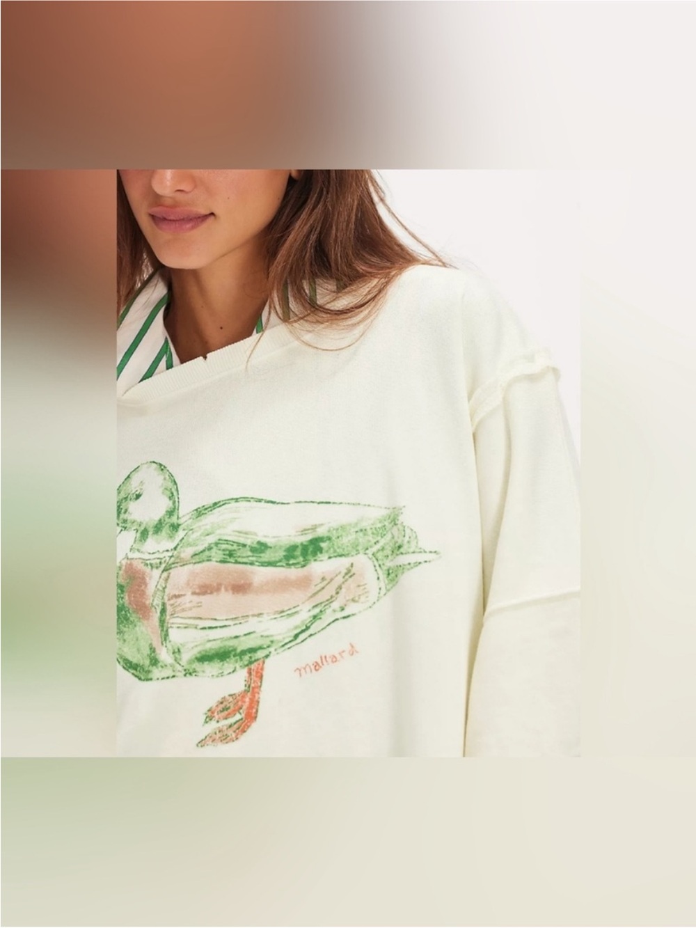 NWT Free People We The Free Graphic Camden Pullover - duck combo mallard - Large - Picture 3 of 12